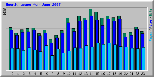 Hourly usage for June 2007