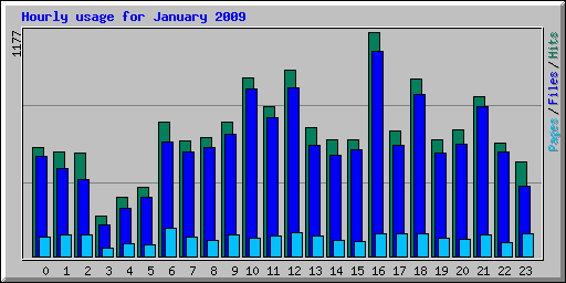 Hourly usage for January 2009